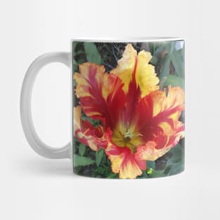 Flamboyant Parrot Tulip Mug